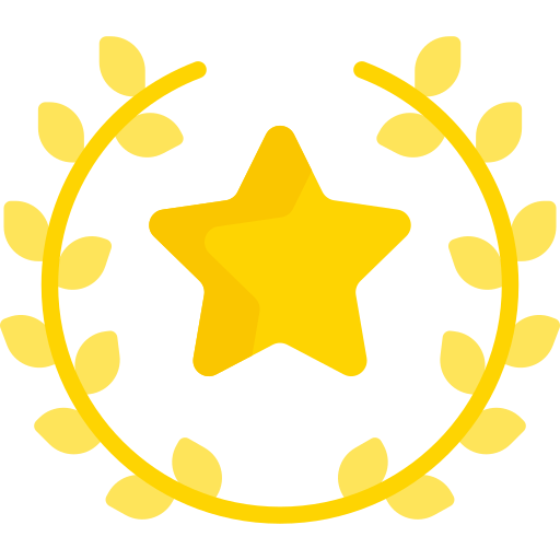 VIP services